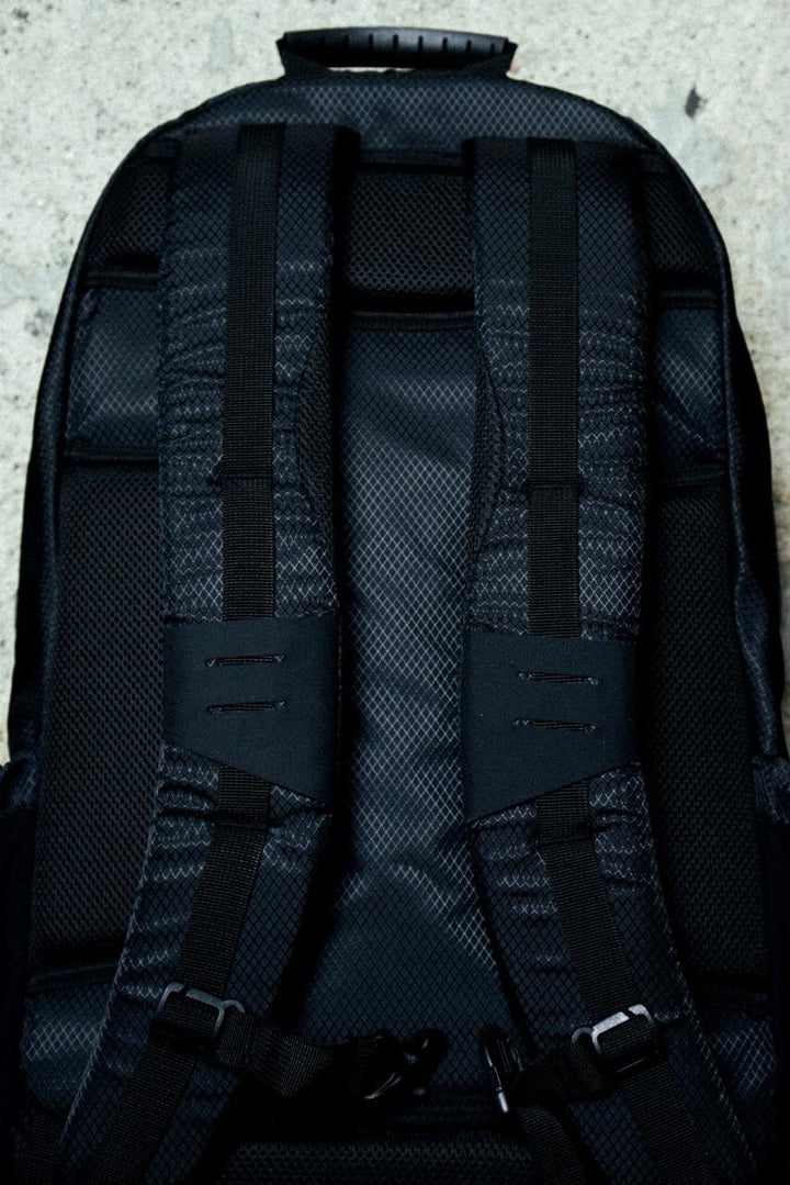 LXB Backpack: worn, back view